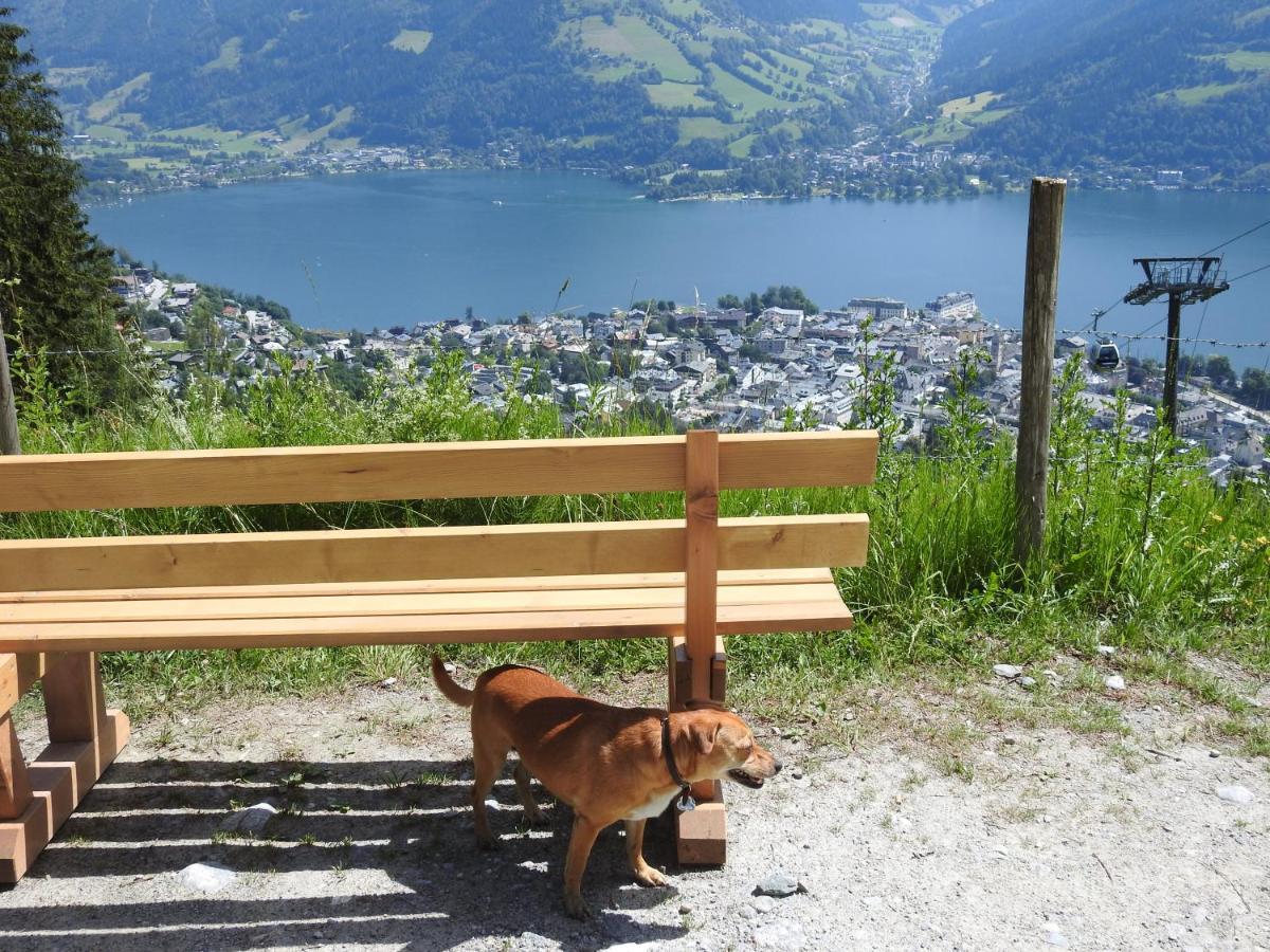Pension Alpenrose Zell am See Extérieur photo