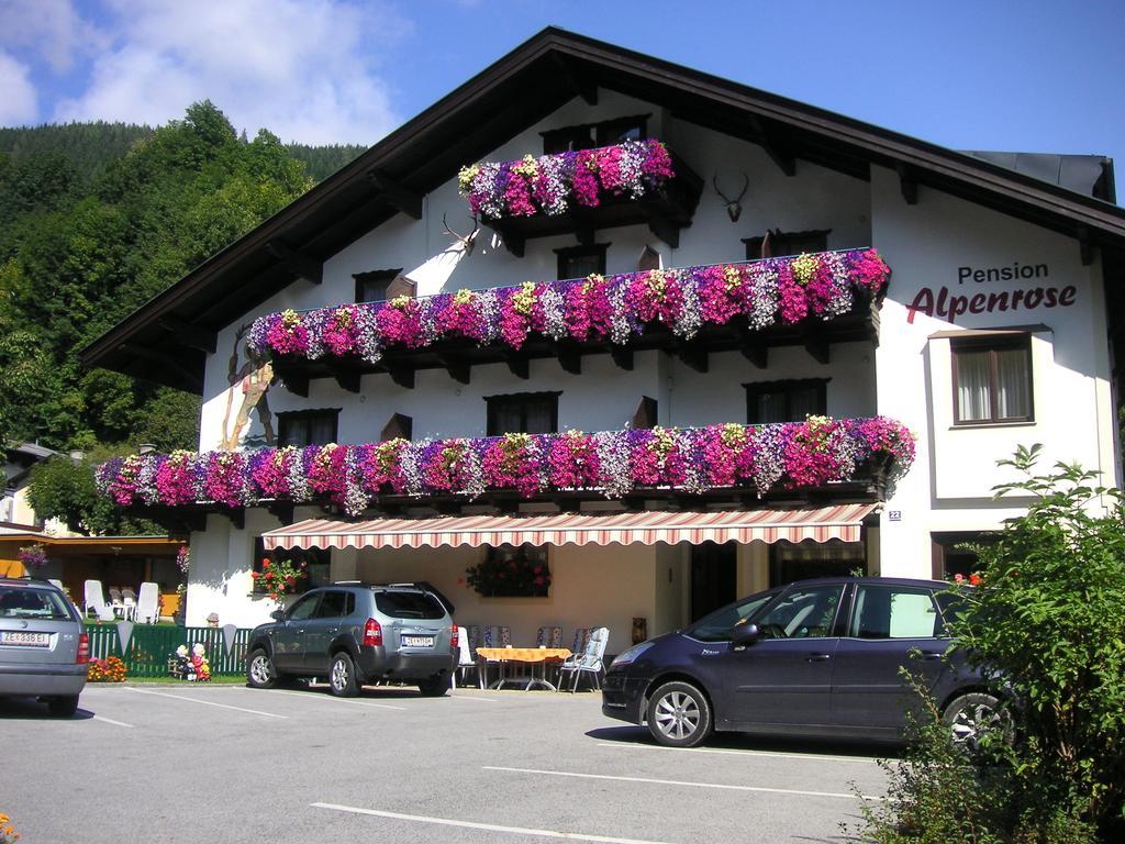 Pension Alpenrose Zell am See Extérieur photo